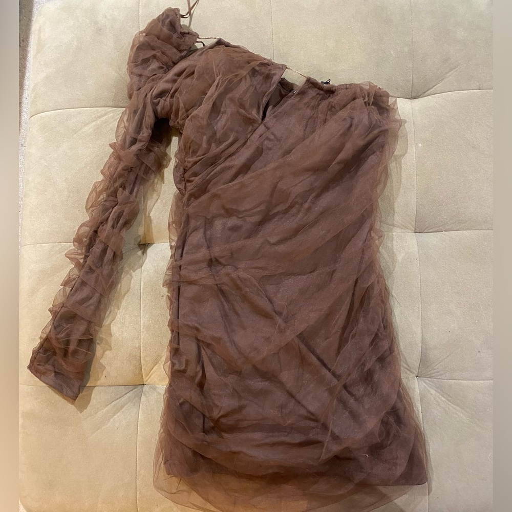 Zara Brown Mini Dress
